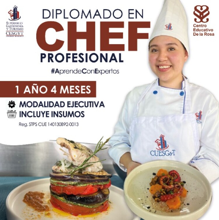 CHEF PROFESIONAL
